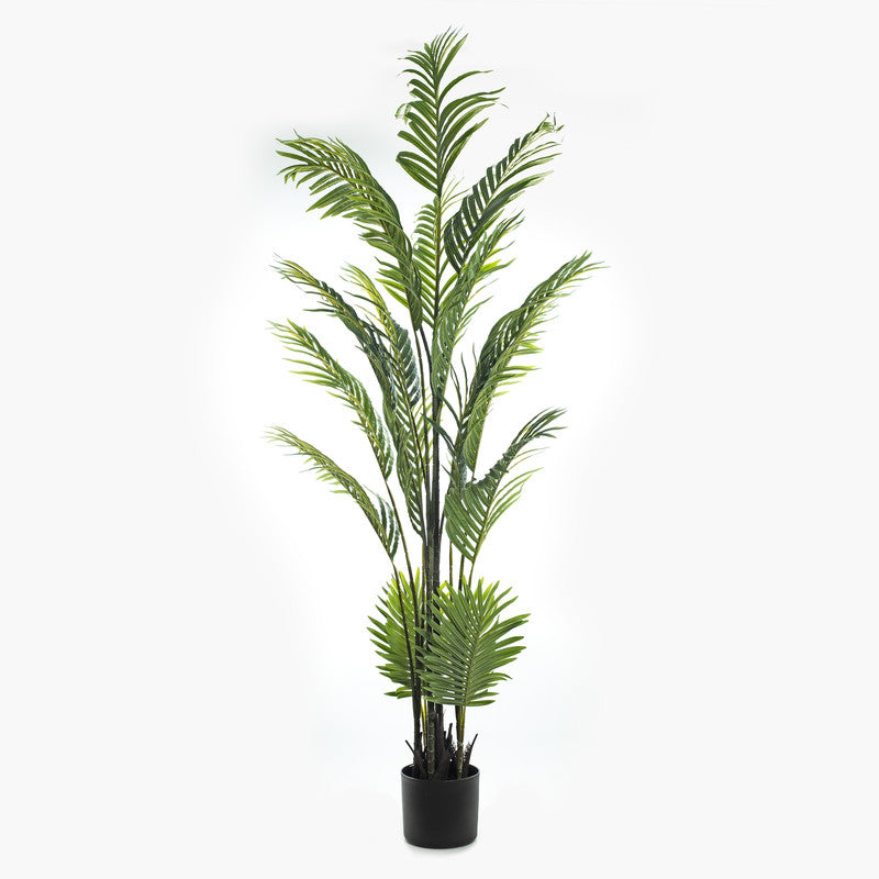 180cm Real Touch Pearl Palm Tree